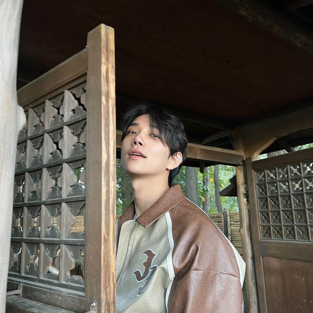 のインスタグラム：「🌳」