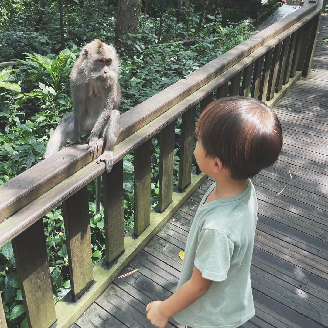 吉川ひなののインスタグラム：「井戸端会議👦🏻🐒」