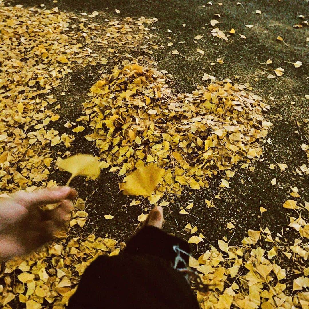 cahoさんのインスタグラム写真 - (cahoInstagram)「🍁🍂  秋の終わり」12月3日 21時01分 - o0___bb