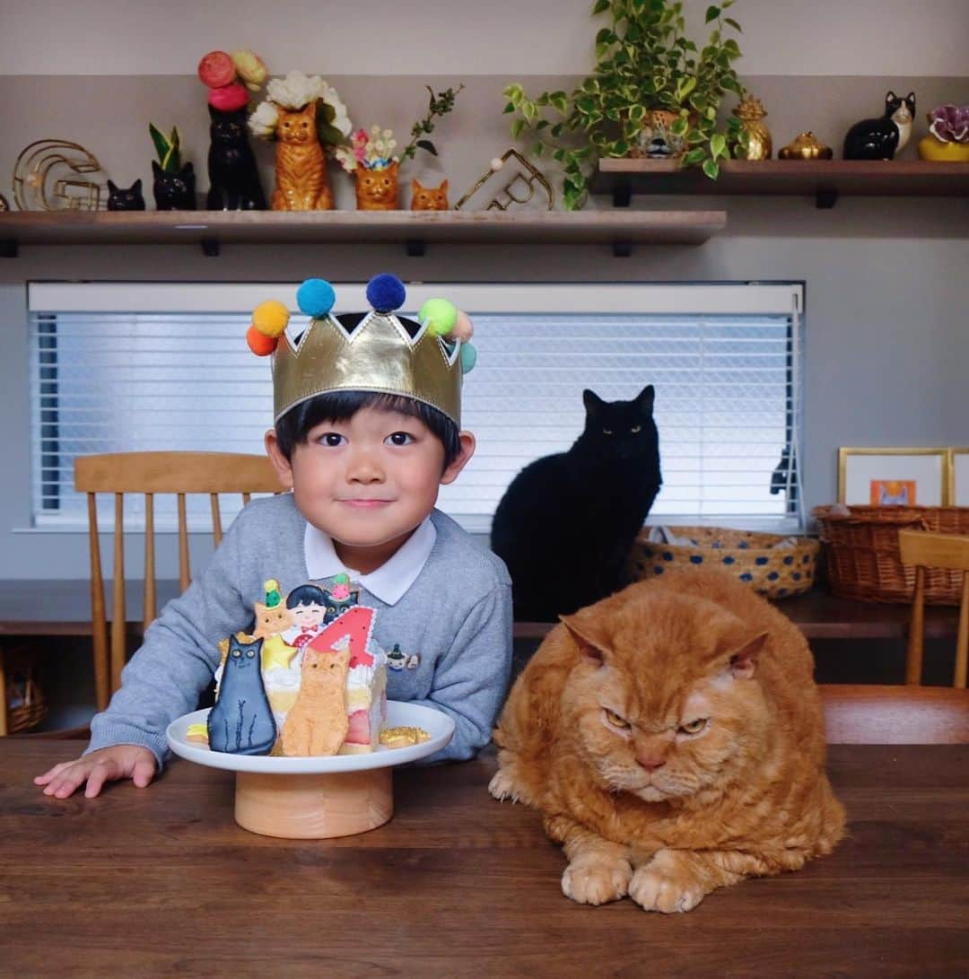 ギネス & ピムスさんのインスタグラム写真 - (ギネス & ピムスInstagram)「04/12/2022 Happy Sunday! ・ December 3rd was Nagi’s 4th birthday👦🏻🎂 A big Happy Birthday! His birthday cake, made by @kikko_ , was decorated with Guinness and Pimms iced cookies. We hope that you will continue to enjoy watching Nagi grow up, our third son, together with of course Guinness & Pimms. Enjoy the rest of your wonderful weekend everyone! ・ ・ 12月3日に 凪ねこ4歳になりました！ お誕生日おめでとう！ 今年も　@kikko_ さんの アイシングクッキーのおかげで とっても可愛いケーキで お祝いする事が出来ました🎂 ギネピムそっくり！ 色使いも素敵で 素晴らしいセンス👏👏 毎年ありがとうございます！ 三兄弟揃っての写真撮影は 本当に難しい。 猫たちの顔が不機嫌になりがち😂 そして目線は基本揃わない。笑 ・ 最近の凪ねこは 実況中継をしながら 恐竜遊びをする事にハマっており 古舘伊知郎さんみたいと 言われる事も。笑 私もおしゃべりな方なので これは遺伝なのかもしれません。笑 それでは皆さま これからも三兄弟を どうぞよろしくお願いします♫ 引き続き素敵な週末を！ ・ ※写真⑧は @kikko_ さんからお借りしました🐈‍⬛🐈」12月4日 11時21分 - rina_takei