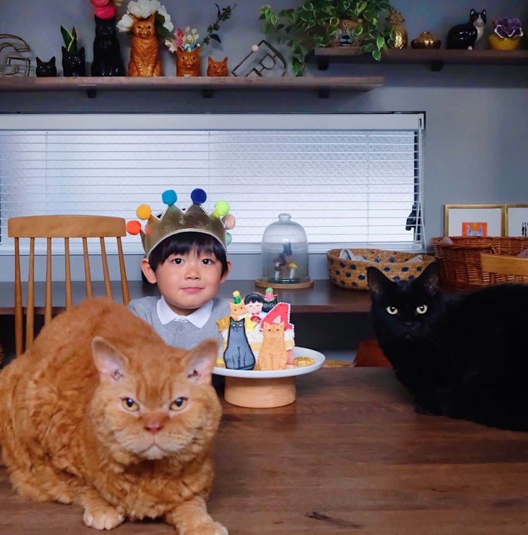 ギネス & ピムスのインスタグラム