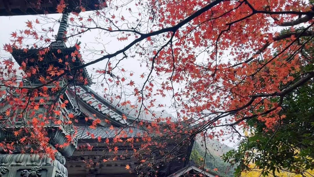 ナム・ギュリのインスタグラム：「祈祷🙏🏻🍀💕🌸🍊  셀수없는 계단을 따라 올라갔다   #하코네#소원이이루어지는곳#행운」