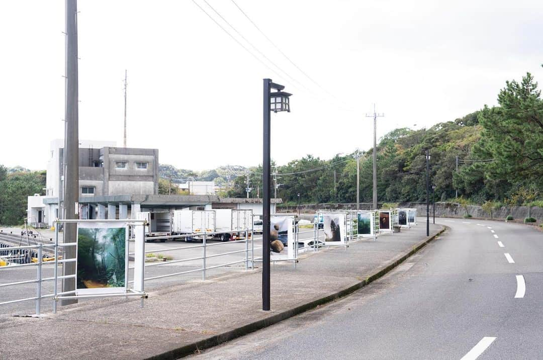 柏田テツヲのインスタグラム：「屋久島国際写真際 @yakushima_photo_festival   12/2をもって展示が終了致しました。 屋久島で出会った皆様、展示に足を運んで下さった皆様、ありがとうございました。  Thank you to everyone I met in Yakushima and everyone who came to see my exhibition.」