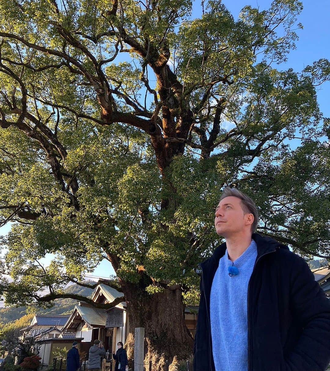 ジョナサン・シガーのインスタグラム：「太宰府にある樹齢1500年の木！ かっこよかったな〜 #太宰府天満宮 #福岡 #タダイマ #撮影」