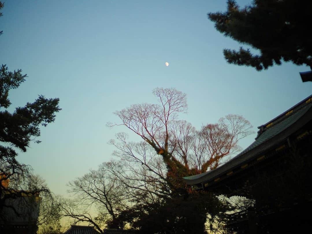 石井美保さんのインスタグラム写真 - (石井美保Instagram)「年に2回恒例の京都 #mihoishii_京都」12月4日 21時35分 - miho_ishii