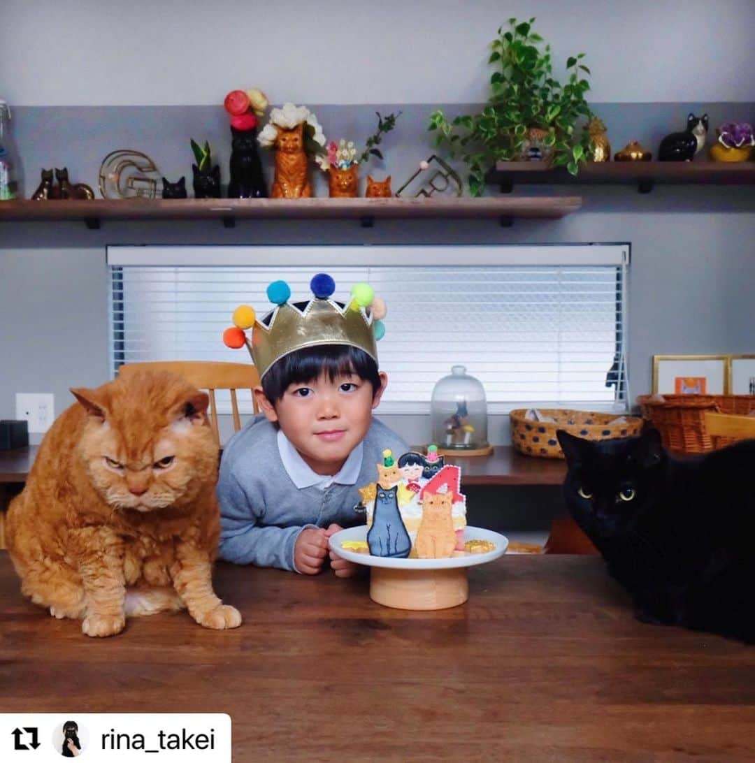 kikkoさんのインスタグラム写真 - (kikkoInstagram)「Happy Birthday Nagi‼️👦🏻🐈‍⬛🐈 今年も凪ネコくんのバースデークッキーをお作りしました🥰 私は、おばあちゃん的な👵🏻感覚でいつも見守ってるの😅  大好きな三兄弟❤️ リナさん、ありがとうー🎂 Love❤️  #Repost @rina_takei with @use.repost ・・・ 04/12/2022 Happy Sunday! ・ December 3rd was Nagi’s 4th birthday👦🏻🎂 A big Happy Birthday! His birthday cake, made by @kikko_ , was decorated with Guinness and Pimms iced cookies. We hope that you will continue to enjoy watching Nagi grow up, our third son, together with of course Guinness & Pimms. Enjoy the rest of your wonderful weekend everyone! ・ ・ 12月3日に 凪ねこ4歳になりました！ お誕生日おめでとう！ 今年も　@kikko_ さんの アイシングクッキーのおかげで とっても可愛いケーキで お祝いする事が出来ました🎂 ギネピムそっくり！ 色使いも素敵で 素晴らしいセンス👏👏 毎年ありがとうございます！ 三兄弟揃っての写真撮影は 本当に難しい。 猫たちの顔が不機嫌になりがち😂 そして目線は基本揃わない。笑 ・ 最近の凪ねこは 実況中継をしながら 恐竜遊びをする事にハマっており 古舘伊知郎さんみたいと 言われる事も。笑 私もおしゃべりな方なので これは遺伝なのかもしれません。笑 それでは皆さま これからも三兄弟を どうぞよろしくお願いします♫ 引き続き素敵な週末を！ ・ ※写真⑧は @kikko_ さんからお借りしました🐈‍⬛🐈」12月5日 8時28分 - kikko_