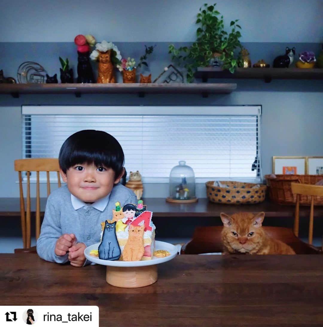 kikkoさんのインスタグラム写真 - (kikkoInstagram)「Happy Birthday Nagi‼️👦🏻🐈‍⬛🐈 今年も凪ネコくんのバースデークッキーをお作りしました🥰 私は、おばあちゃん的な👵🏻感覚でいつも見守ってるの😅  大好きな三兄弟❤️ リナさん、ありがとうー🎂 Love❤️  #Repost @rina_takei with @use.repost ・・・ 04/12/2022 Happy Sunday! ・ December 3rd was Nagi’s 4th birthday👦🏻🎂 A big Happy Birthday! His birthday cake, made by @kikko_ , was decorated with Guinness and Pimms iced cookies. We hope that you will continue to enjoy watching Nagi grow up, our third son, together with of course Guinness & Pimms. Enjoy the rest of your wonderful weekend everyone! ・ ・ 12月3日に 凪ねこ4歳になりました！ お誕生日おめでとう！ 今年も　@kikko_ さんの アイシングクッキーのおかげで とっても可愛いケーキで お祝いする事が出来ました🎂 ギネピムそっくり！ 色使いも素敵で 素晴らしいセンス👏👏 毎年ありがとうございます！ 三兄弟揃っての写真撮影は 本当に難しい。 猫たちの顔が不機嫌になりがち😂 そして目線は基本揃わない。笑 ・ 最近の凪ねこは 実況中継をしながら 恐竜遊びをする事にハマっており 古舘伊知郎さんみたいと 言われる事も。笑 私もおしゃべりな方なので これは遺伝なのかもしれません。笑 それでは皆さま これからも三兄弟を どうぞよろしくお願いします♫ 引き続き素敵な週末を！ ・ ※写真⑧は @kikko_ さんからお借りしました🐈‍⬛🐈」12月5日 8時28分 - kikko_