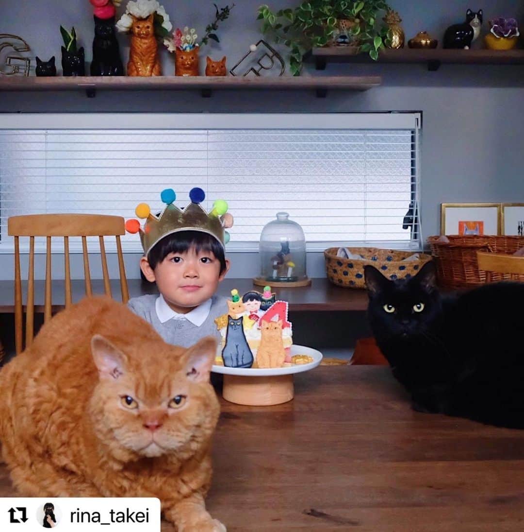 kikkoのインスタグラム：「Happy Birthday Nagi‼️👦🏻🐈‍⬛🐈 今年も凪ネコくんのバースデークッキーをお作りしました🥰 私は、おばあちゃん的な👵🏻感覚でいつも見守ってるの😅  大好きな三兄弟❤️ リナさん、ありがとうー🎂 Love❤️  #Repost @rina_takei with @use.repost ・・・ 04/12/2022 Happy Sunday! ・ December 3rd was Nagi’s 4th birthday👦🏻🎂 A big Happy Birthday! His birthday cake, made by @kikko_ , was decorated with Guinness and Pimms iced cookies. We hope that you will continue to enjoy watching Nagi grow up, our third son, together with of course Guinness & Pimms. Enjoy the rest of your wonderful weekend everyone! ・ ・ 12月3日に 凪ねこ4歳になりました！ お誕生日おめでとう！ 今年も　@kikko_ さんの アイシングクッキーのおかげで とっても可愛いケーキで お祝いする事が出来ました🎂 ギネピムそっくり！ 色使いも素敵で 素晴らしいセンス👏👏 毎年ありがとうございます！ 三兄弟揃っての写真撮影は 本当に難しい。 猫たちの顔が不機嫌になりがち😂 そして目線は基本揃わない。笑 ・ 最近の凪ねこは 実況中継をしながら 恐竜遊びをする事にハマっており 古舘伊知郎さんみたいと 言われる事も。笑 私もおしゃべりな方なので これは遺伝なのかもしれません。笑 それでは皆さま これからも三兄弟を どうぞよろしくお願いします♫ 引き続き素敵な週末を！ ・ ※写真⑧は @kikko_ さんからお借りしました🐈‍⬛🐈」