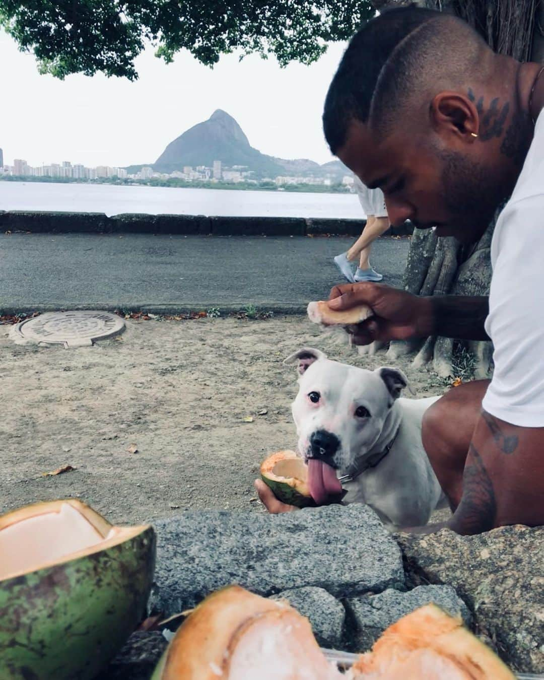 マテウス・サンタナのインスタグラム：「Easy like sunday morning 🐾🤍」