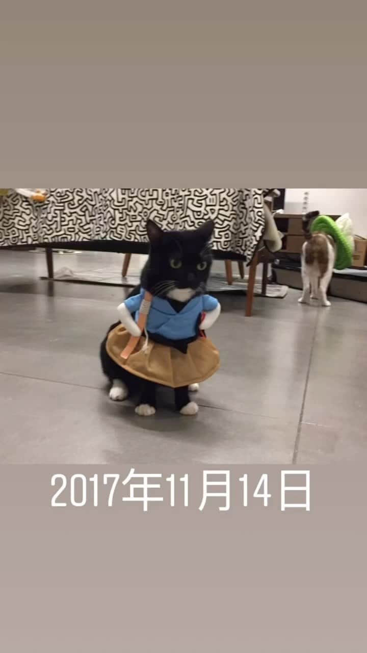 Katetsaiのインスタグラム