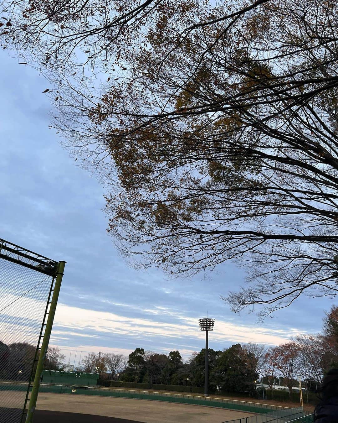 大神いずみさんのインスタグラム写真 - (大神いずみInstagram)「野球終わりの夕暮れ時。  …て(@_@)⁉️ 東京はまだ16時前。 どっぷり日が暮れたような景色なのにまだこんな時間！？ 早朝から車出して球場にずっといるからか、もう何日もここに寝泊まりしているような…やっと終わって時計見たらまだ早い時間だった❤️みたいな…  とにかくクタクタです😓  選手たちに監督コーチからお話をされている時、 ふと見上げた空と木の風景がコレ。  なんか、キレイだなぁ。 空気が冷たく澄んでいるせいかな。  いよいよ、 運命の決戦は今月末。 子供達の練習にも自然とチカラが入りすぎて、焦ってたり悩んだり… 無事にその日を迎えるまで、まだまだいろんなことはありそうです😓  一緒に頑張ってくよ‼️  そういえばこの球場は 長男の頃からよく来ていた球場。 いつか木の影でお当番していたら、パサっとバッグの中にデッカい青虫が降ってきたことがありました(´༎ຶོρ༎ຶོ`) みずみずしい新緑の葉が揺れる季節にもずっと野球を見守っていたなぁ、と… すっかりその葉が落ちてしまった木の枝を見て思い出したのでした。  今年もいろいろありましたけど…  『やっぱずっと野球だったじゃん😓』な一枚。  そういば今年はどーにも グリーンの色に目がいってしまうとゆーか😲  お洋服やネイルにも度々グリーンを身につけていたような気がするのです。  で、 たまたま自分がしたネイルと番組で用意していただいた衣装がピッタリ合うと思わず『ビンゴー！！』な気分になってしまう❤️  いい色ですね♪ 来年はどんな色に目がいくのかな〜  #週末を終えた後の月曜日の私は廃人 #この前まで半袖でTシャツで応援していたのに #いい色だからって全部グリーンにしたら、それはアオムシ #野球母 #ジャイアンツジュニア #frene #いいものプレミアム」12月5日 9時50分 - izumi_ogami