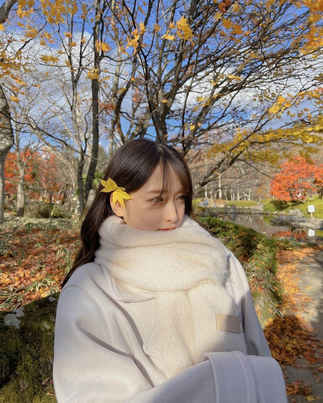 市川愛美さんのインスタグラム写真 - (市川愛美Instagram)「. まだ紅葉の写真間に合う！？！？ 滑り込みセーフ？笑  #紅葉 #マフラーコーデ」12月5日 10時08分 - 0826manami