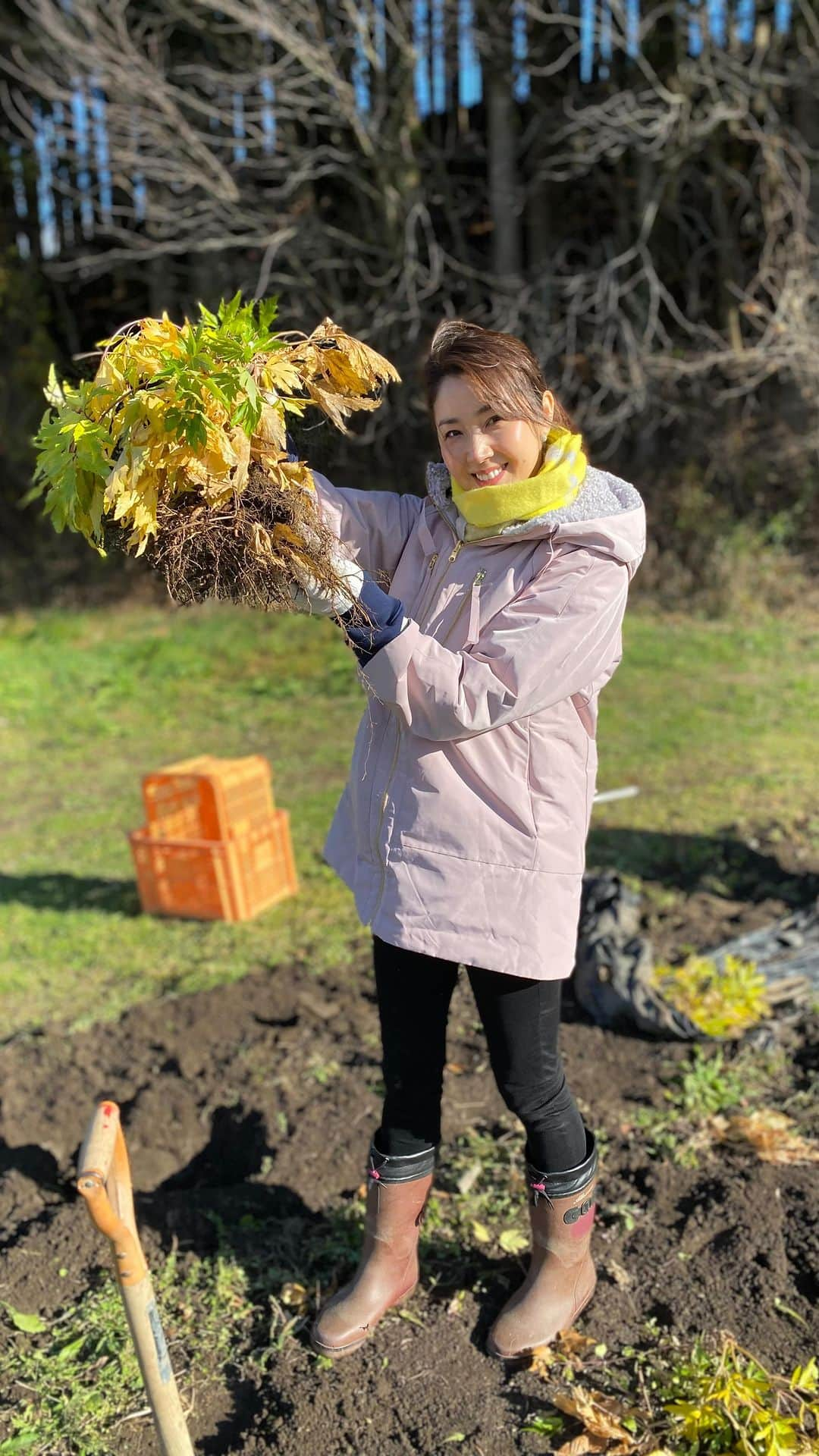 芦田桂子のインスタグラム