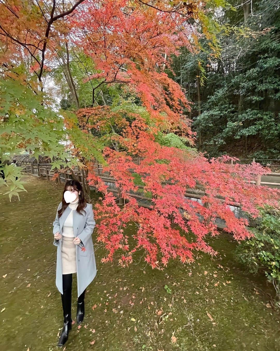 桃尻リカのインスタグラム：「まだ紅葉見れた🍁 . 写真撮るのが上手くなってく👨‍🦰 . 動植物園に行ってきたよ𓅜𓃗𓃻🌳 . 日本猿が1番見入ってた😂 . #パパカメラマン#赤ちゃんのいる暮らし#お出かけ#日曜日の過ごし方#パパ休日#ありがとう#育児#子育て#女の子ママ#産後#ママコーデ#寒くなってきた#動植物園デビュー#」