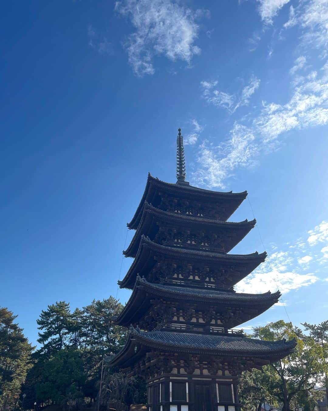 高橋侑子さんのインスタグラム写真 - (高橋侑子Instagram)「京都と奈良 弾丸で行ったけどやっぱりどっちも好き☺️ 楽しい旅でした🍵 🇯🇵 #京都 #奈良  Random photo dump. A fun weekend in Kyoto and Nara 🙌 #vacation」12月5日 16時03分 - yuko_takahashi8