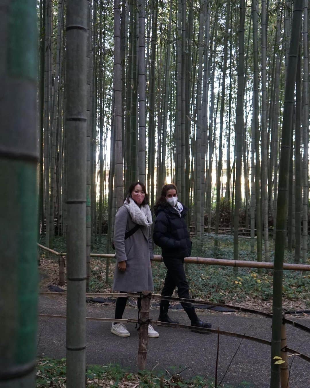高橋侑子さんのインスタグラム写真 - (高橋侑子Instagram)「京都と奈良 弾丸で行ったけどやっぱりどっちも好き☺️ 楽しい旅でした🍵 🇯🇵 #京都 #奈良  Random photo dump. A fun weekend in Kyoto and Nara 🙌 #vacation」12月5日 16時03分 - yuko_takahashi8