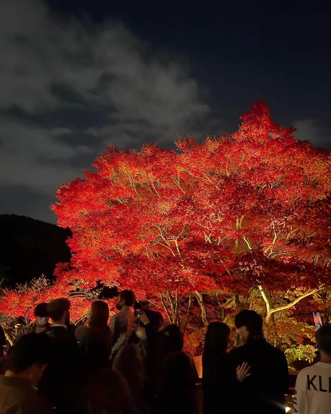 丸山蘭奈さんのインスタグラム写真 - (丸山蘭奈Instagram)「・ ちょっと前に、紅葉を見に京都へ🍁  何度も「綺麗〜」と言葉が漏れてしまうほど美しかったなあ🥲 今年は寒くなるのがあっという間だったけど、ゆったり秋を堪能できた1日でした🤍」12月5日 21時53分 - rana_maruyama