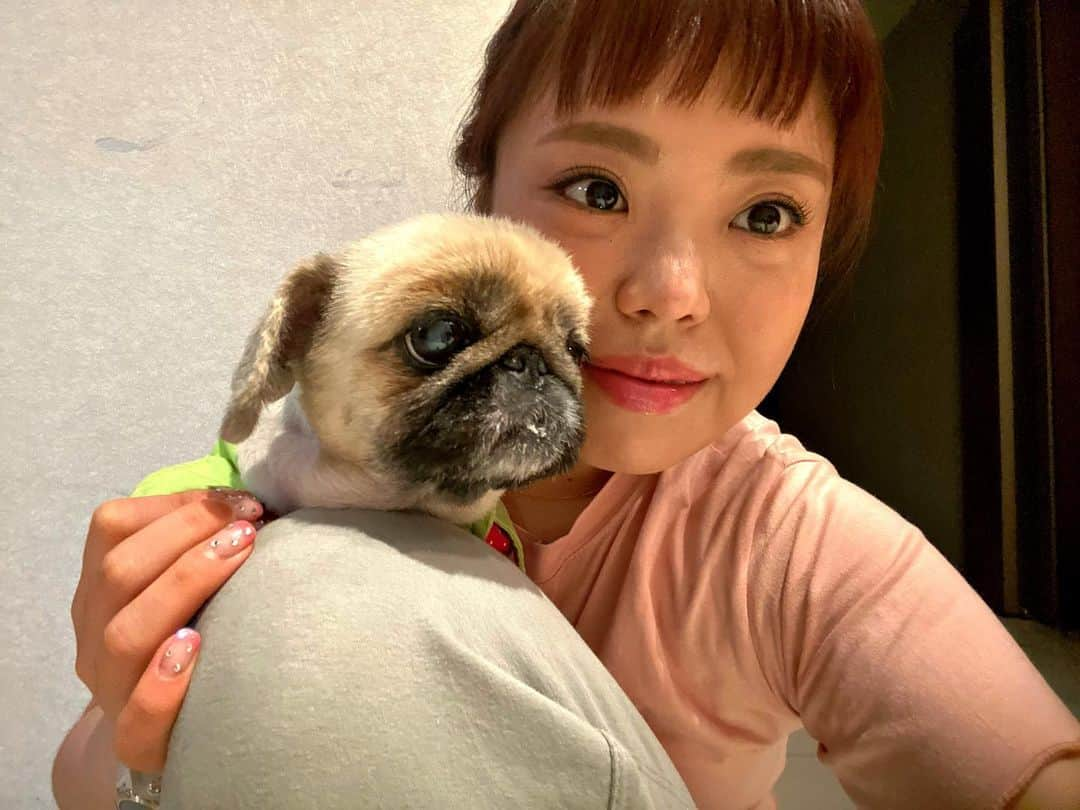 キム・ミニョンさんのインスタグラム写真 - (キム・ミニョンInstagram)「Don’t worry I got your back honey🐶❣️ 엽사 좀 찍을 줄 아는거 같은 울 하니🤣🤣🤣 누가봐도 내새끼😚 #주전견전 #하니 #페키니즈 #BFF」12月5日 22時09分 - minyoungism