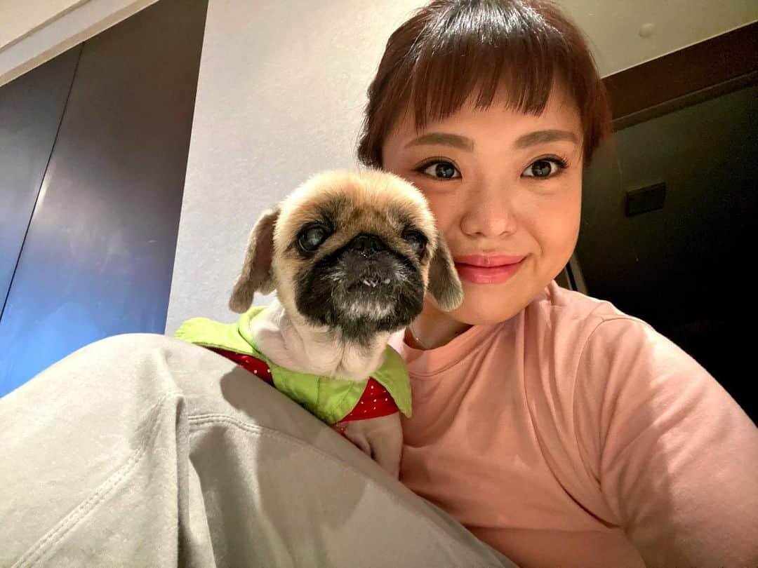 キム・ミニョンさんのインスタグラム写真 - (キム・ミニョンInstagram)「Don’t worry I got your back honey🐶❣️ 엽사 좀 찍을 줄 아는거 같은 울 하니🤣🤣🤣 누가봐도 내새끼😚 #주전견전 #하니 #페키니즈 #BFF」12月5日 22時09分 - minyoungism