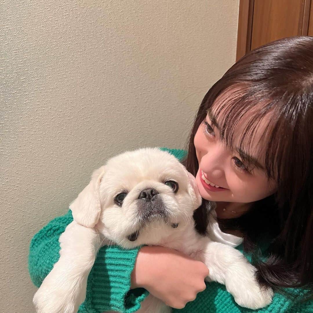 のインスタグラム：「.  ぶんちゃん髪切ったの🫶🏻💗」