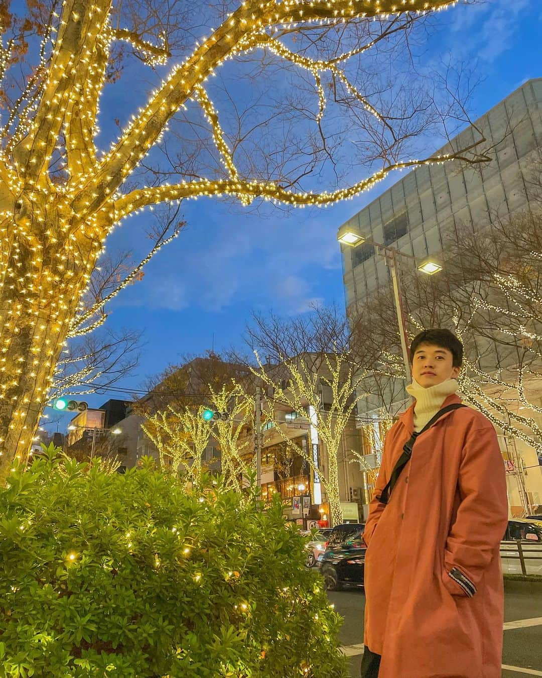 ジンソクのインスタグラム：「오모테산도는 크리스마스 맞이 할 준비 중~🎄 表参道はイルミネーションで綺麗です。  #表参道　#오모테산도 #도쿄 #japan」