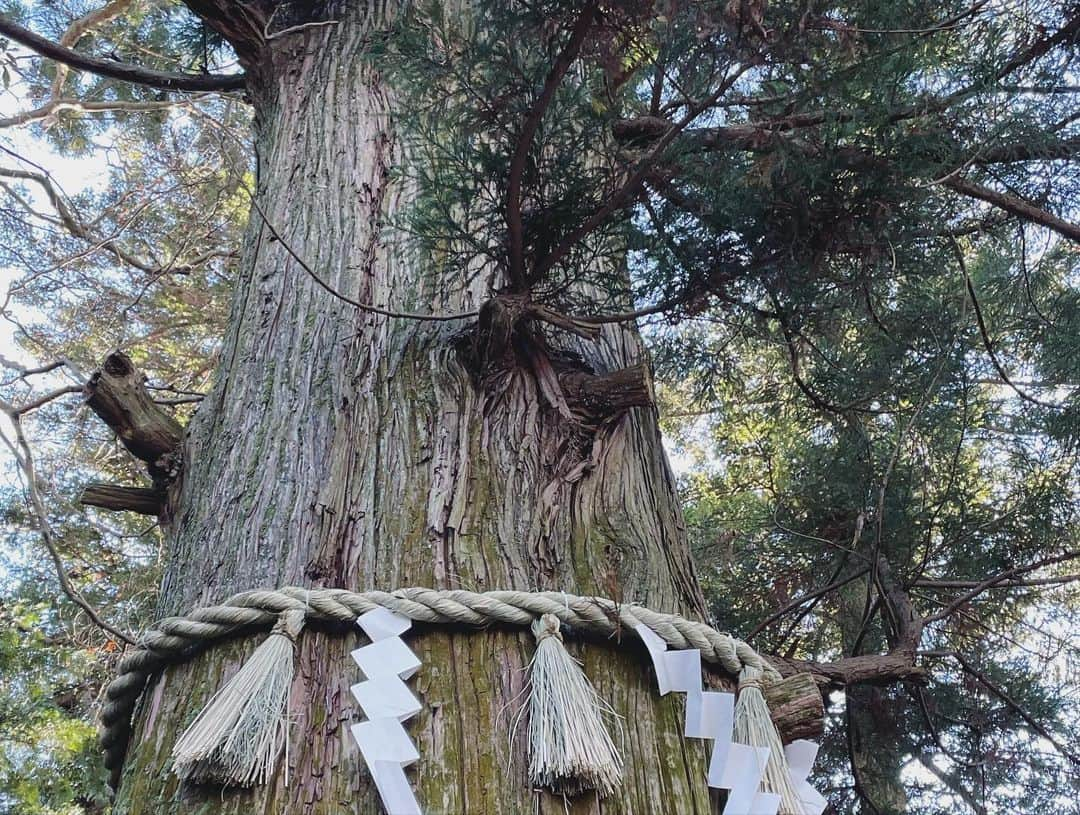 森郁月さんのインスタグラム写真 - (森郁月Instagram)「今年の初登りは初詣に高尾山へ⛩⛰ ⁡ お天気に恵まれて、 ひんやりした空気が気持ち良かった〜 山頂からは富士山も拝めて、 縁起の良い一年の始まりになりました✨ ⁡ 高尾山へお正月に登るのは初めてでしたが、 活気ある雰囲気も味わえて楽しかったです。 前回は高尾山山頂から小仏城山の方まで縦走して、 尾根道の景色がとても良かったです！ また歩きたいなと思い返しました(*´`) ⁡ 高尾山は登山コースがたくさんあって、 頑張って全コースコンプリートしたい！と思っています✌️ 新緑の時期が楽しみです^^🌱‬ ⁡ ⁡ #高尾山 #初詣 #お正月 #薬王院 #富士山 #山頂 #絶景 #たこ杉 #登山 #トレッキング #山登り」1月4日 15時00分 - katsukimori1227