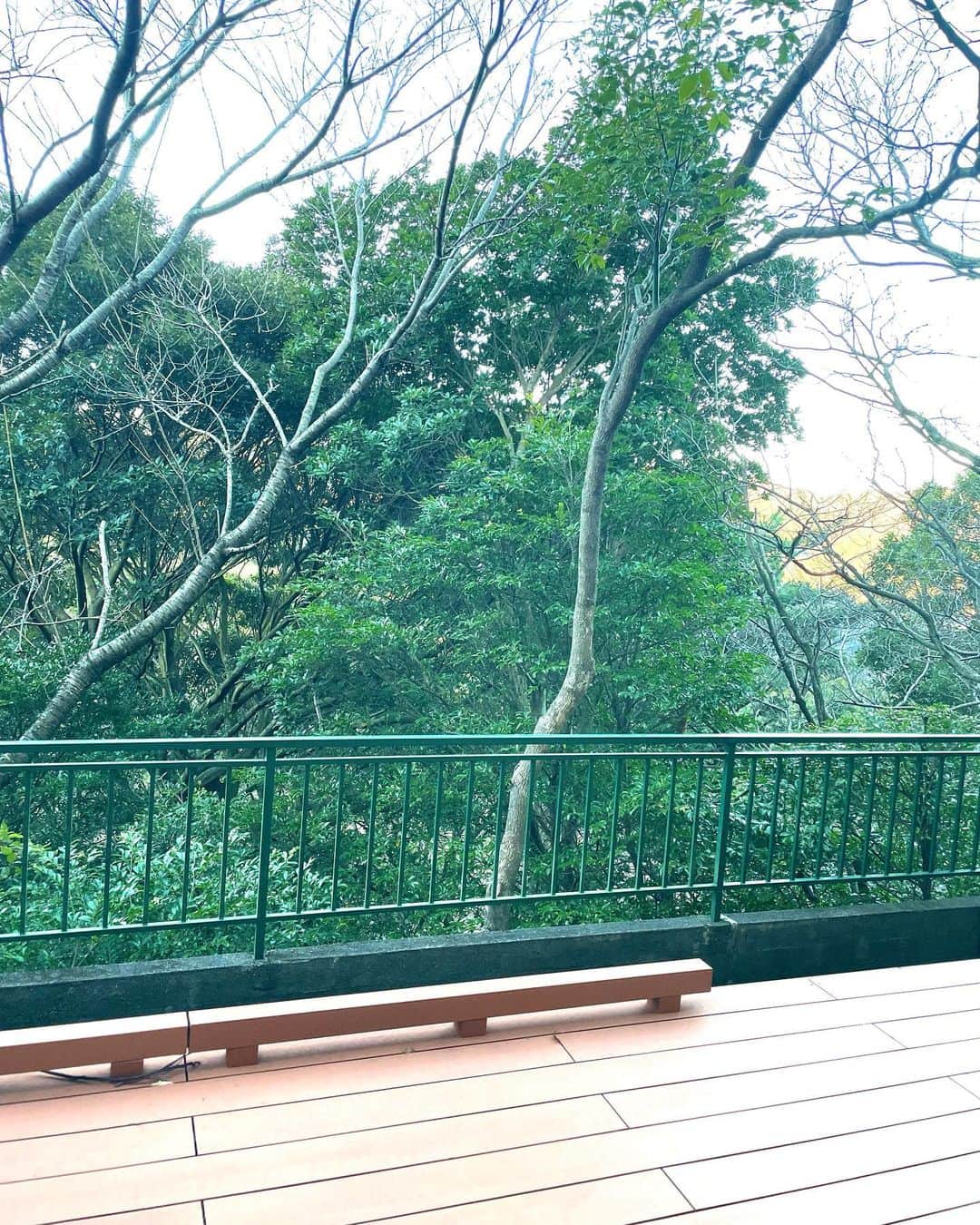 のインスタグラム：「明けましておめでとうございます  残っている木々の葉っぱと葉が落ちている木を見ながら過ごすお正月  これもまた良き。 ゆっくり過ごせたお正月でした🎍  葉月さらちゃんちのお餅が美味しすぎて...お正月から幸せでした(待ち切らず31日に色餅食べちゃったのは内緒)  本年もどうぞよろしくお願い致します(^^)  倉田あみ」