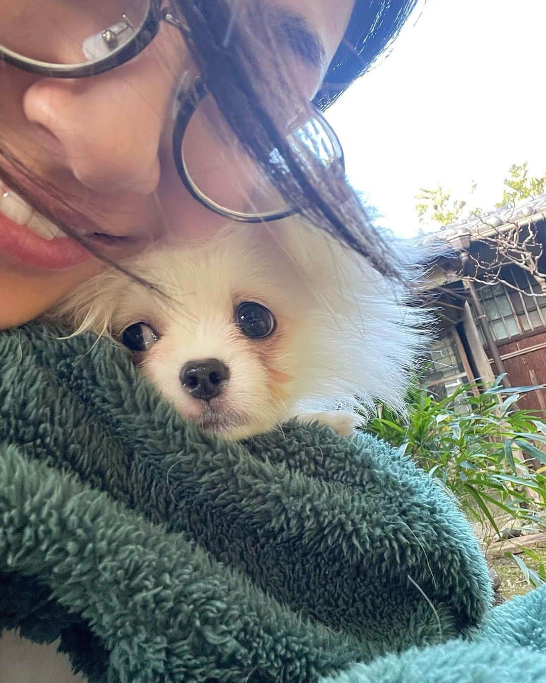 想乃のインスタグラム：「朝はお庭で自由時間🫧」