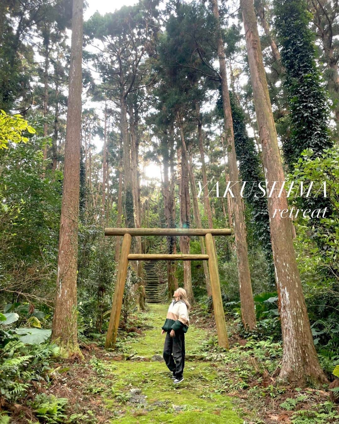 のインスタグラム：「【2/23〜26 屋久島Retreat Tour🌿】  皆様、今年1年はどんな年でしたでしょうか☺️？  年末を都内で過ごして感じた事は、 人の歩くスピードがゆっくり穏やかになり、 楽しみな事に向かって 心弾んでいる人のエネルギーに溢れていて、 とても素敵に感じたという事🥺🤍  電車に乗っていても、うつむいて苦しそうな人が 普段よりも少なくなっていて、 街を歩く人も、誰かに親切にしたり、 顔が緩んで微笑みのやりとりが多くなっていたり 心地良い雰囲気で溢れている空気感で とてもいいな〜と感じました🫶✨  海外の雰囲気も同じ感じだよね🧚🏻‍♂️🎶  自分を大切に生きているからこそ、 みんなが楽しそうでhappyって本当に大好き🤍  そんな大晦日の本日に告知となりますが、 2/23〜26の屋久島Retreat Tour 今回は、we are the farm @official.wearethefarm との コラボツアーになります🌿  オーガニック野菜を使ったお料理を提供されている 都内の大好きなお店で、ゴミ拾いの後にも 毎回使わせてもらっているのですが、 そんなwe are the farmさんの 固定種のお野菜を使った ヘルシー料理家リコピンちゃん @rikopin_tomato.925 の ランチBOXをツアー中に頂けて、 夜にもそのお野菜を使ったBBQを行うの🥬✨  固定種、在来種とは？といったお野菜の種の お話しなどもしてもらいます〜🤲🌱  2月の屋久島は、冬の空気で凛と澄み渡り、 より一層フィルターがキレイになって美しい世界。  是非、皆様のご参加をお待ちしております☺️🤍  ご参加希望の方は、 2枚目のQRコードから公式LINEに 必要事項をご明記の上、ご予約ください🧚🏻‍♂️🎶  また、このお日にち以外での 個別のプライベートツアーや、 ガイドさんのご紹介なども行なっておりますので、 併せてQRコードの公式LINEへ お問い合わせ下さいませ🌿  屋久島を、地球を、 2023年も楽しみましょーう🌍✨  今年一年、関わって下さった皆様、 SNSを見て下さった皆様、 本当にありがとうございました🙏✨  明日からの来年も、 ゆるく楽しく自分らしくやって参ります☺️🤍  皆様、良いお年をお迎えくださいませ🌱  #屋久島 #yakushima #retreat #retreattour」