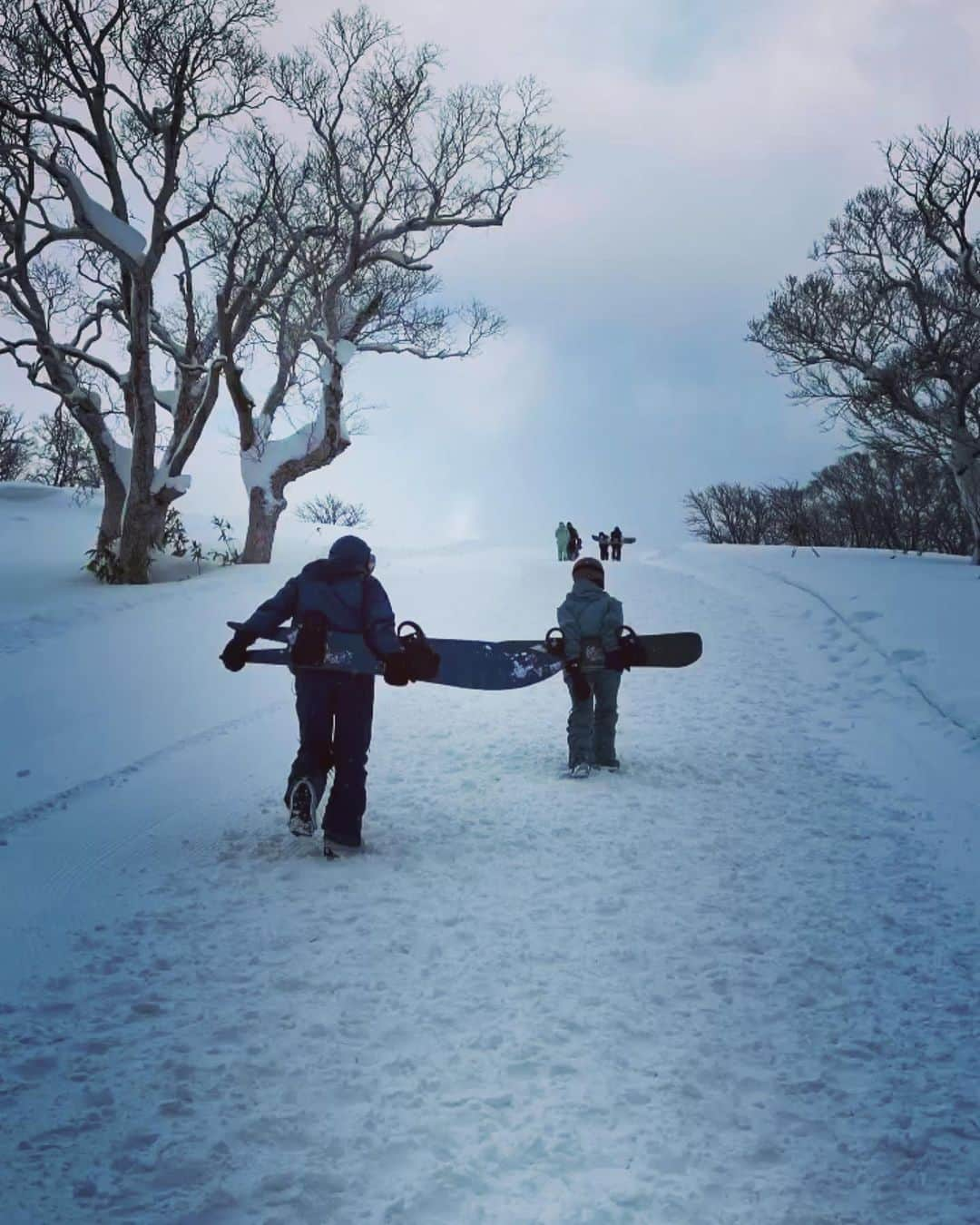 野口美佳さんのインスタグラム写真 - (野口美佳Instagram)「31/12/2022」12月31日 18時47分 - leon_jr_ryo