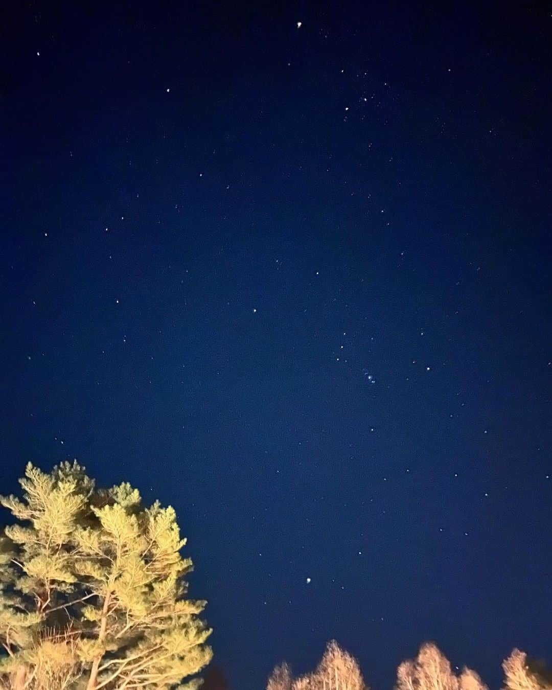 福田麻貴のインスタグラム：「今年もどうもありがとうございました。  #山中湖村　の星空 ナイトモードでこれだけ撮れた😳」