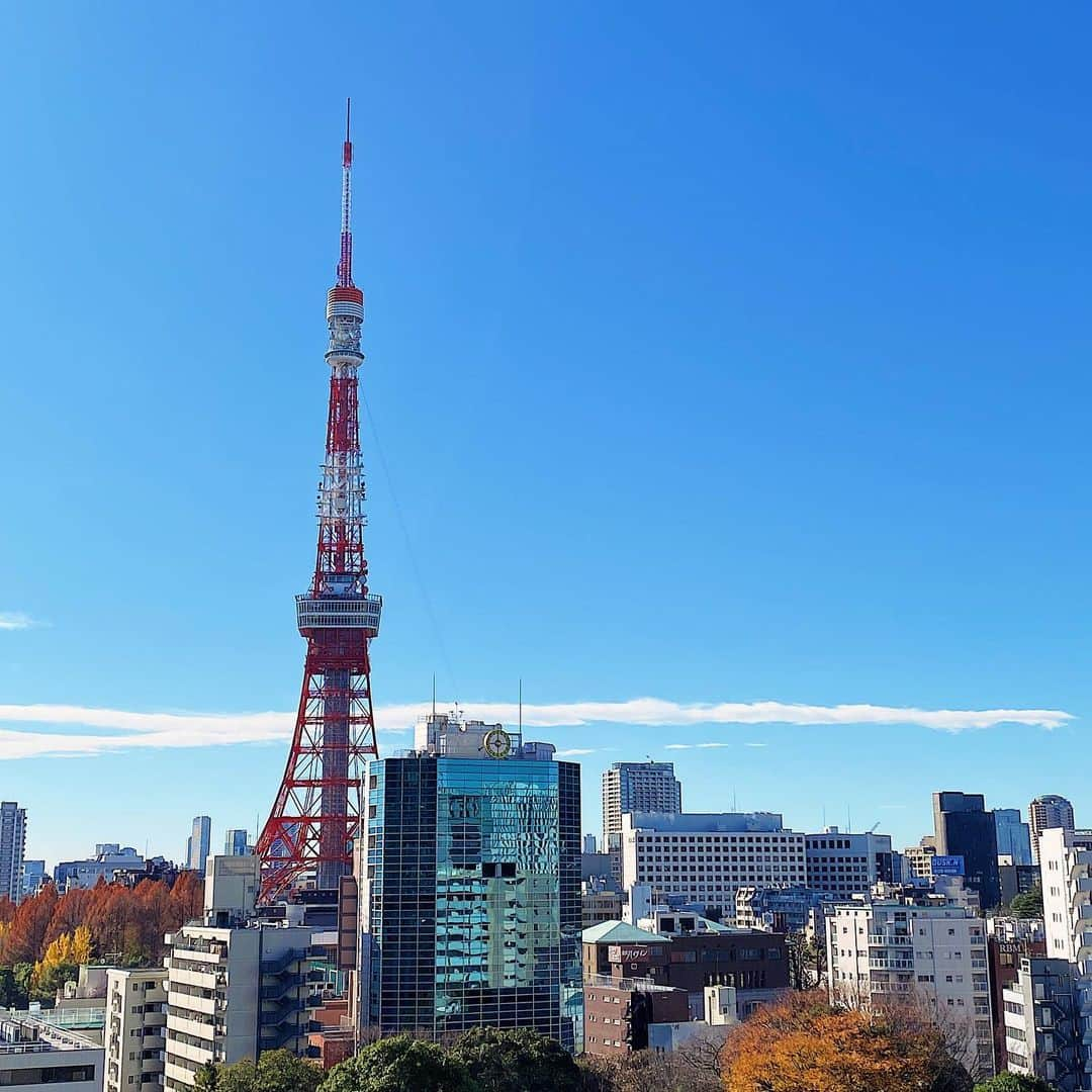 Shokoさんのインスタグラム写真 - (ShokoInstagram)「Last view of Tokyo tower 2022.  My holiday back home will soon be over and I will have to go back to my other home in Singapore. I’m already getting home sick even though I haven’t even left Tokyo yet..   Im sure many of you are living aboard away from their home country due to various reasons.   There’s always this mixed feelings, as much as I miss Tokyo, I do feel that there’s pros and cons of living here.   But I’m glad and happy that I finally was able to come back to see family and friends to end the year 2022.」12月31日 17時27分 - simplytokyo