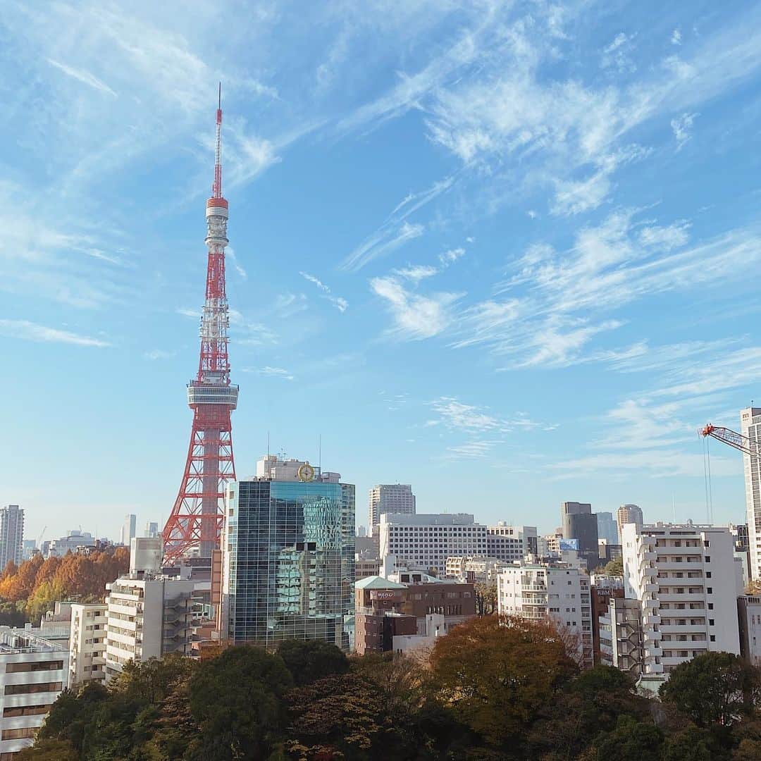 Shokoのインスタグラム：「Last view of Tokyo tower 2022.  My holiday back home will soon be over and I will have to go back to my other home in Singapore. I’m already getting home sick even though I haven’t even left Tokyo yet..   Im sure many of you are living aboard away from their home country due to various reasons.   There’s always this mixed feelings, as much as I miss Tokyo, I do feel that there’s pros and cons of living here.   But I’m glad and happy that I finally was able to come back to see family and friends to end the year 2022.」
