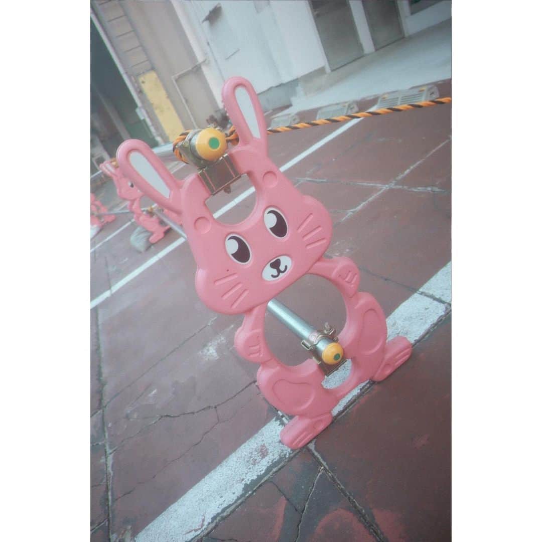 進藤あまねのインスタグラム：「🐇🐇🐧🦝  #ねすぐらむ　#Canon #eoskissm2」