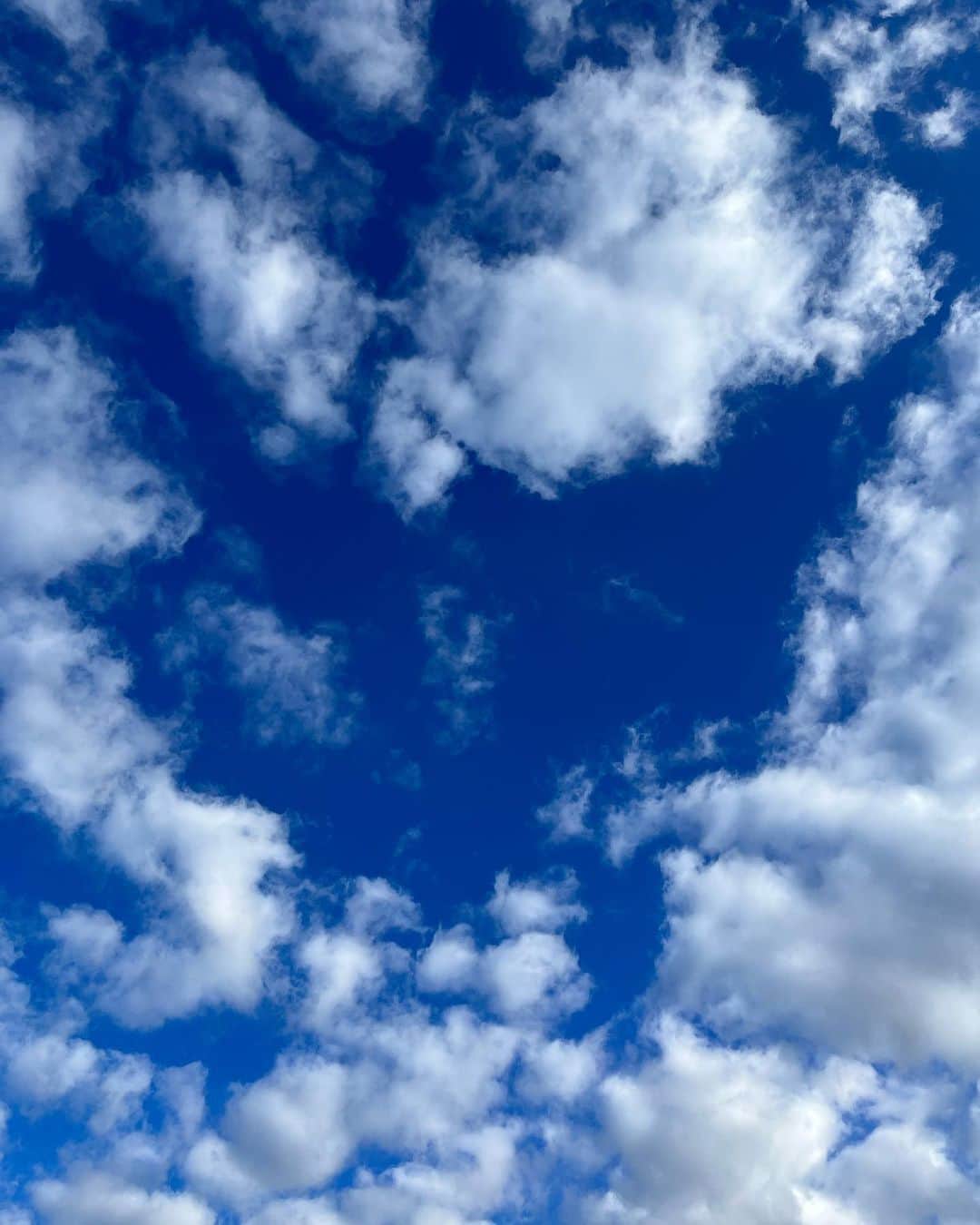 宙也さんのインスタグラム写真 - (宙也Instagram)「大晦日の朝空に青猫。 よいお年を。」12月31日 11時13分 - chuya_aquarius