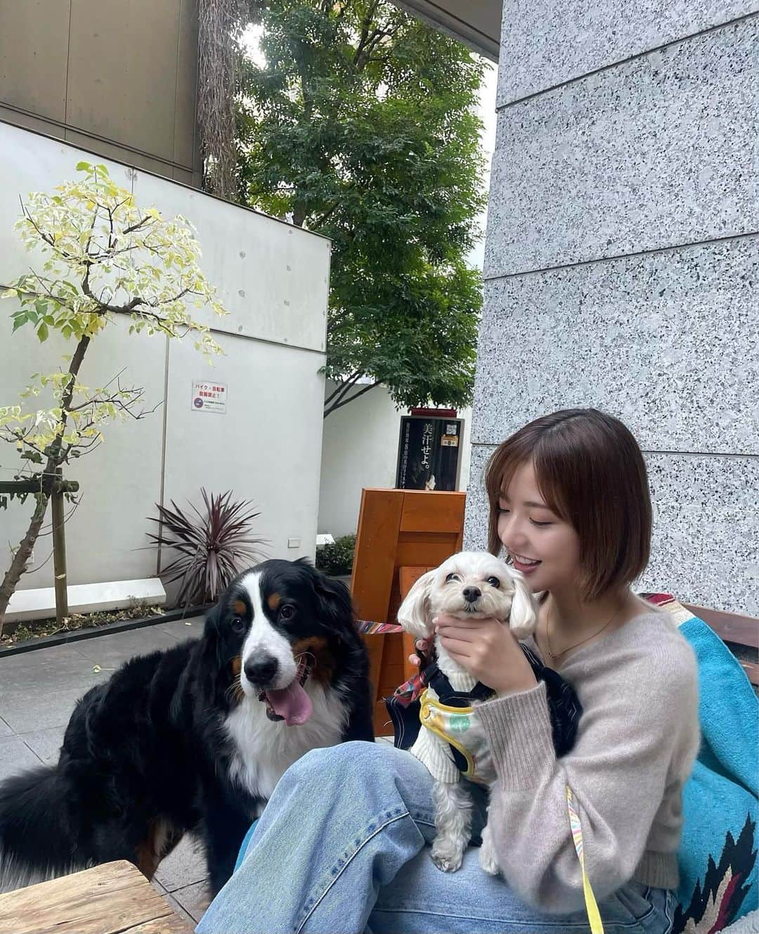 和田まあやのインスタグラム：「今年も皆様大変お世話になりました😊 ありがとうございます♪ たくさんの応援のおかげで走り抜いた1年でした✨ また来年も宜しくお願い致します❣️」