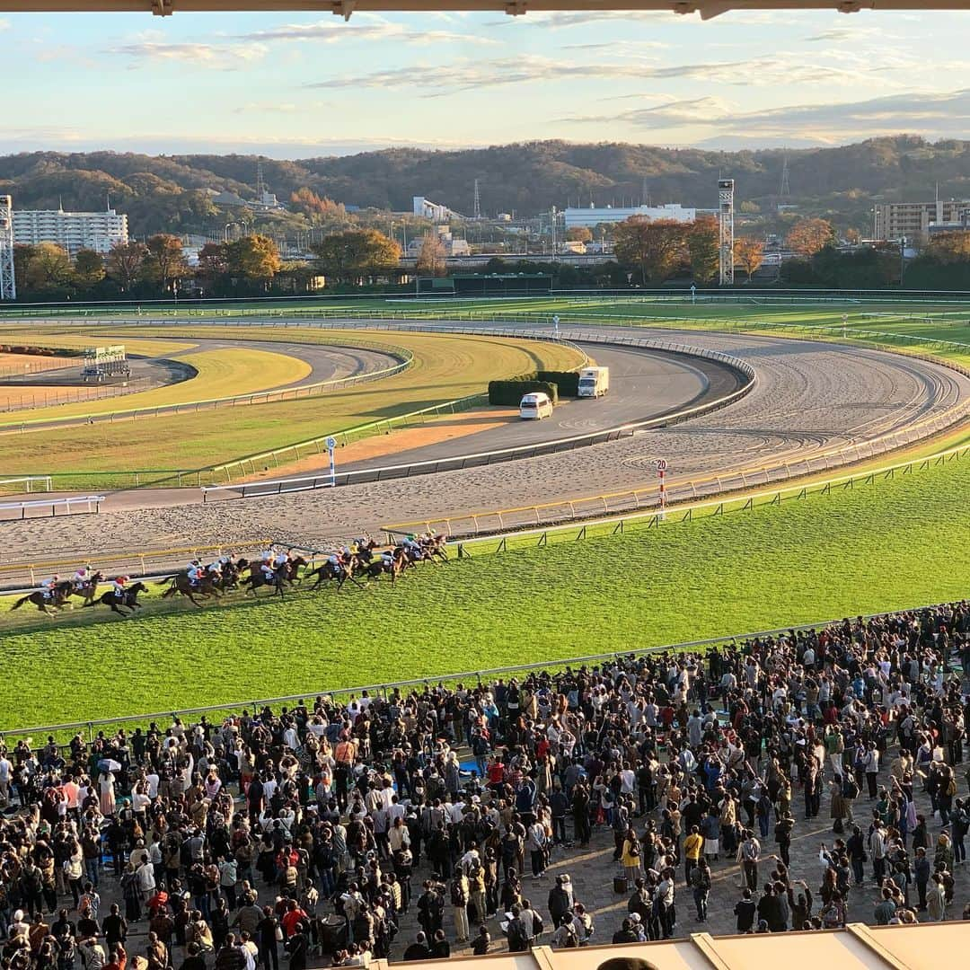 吉村優のインスタグラム：「* 2022年の思い出⭐️ * 競馬場も沢山行けました〜🏇 * 👦🏻から見ておじさんにパカパカしてって ２人で踏み付けるボク達 いつも乗る側🏇だから新鮮で良いか🤣🙏 * #競馬場 #乗馬 #馬」