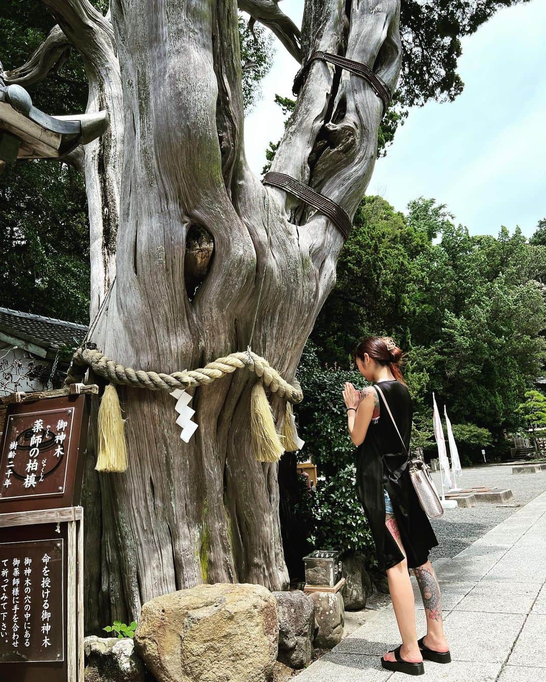 松田ゆう姫のインスタグラム