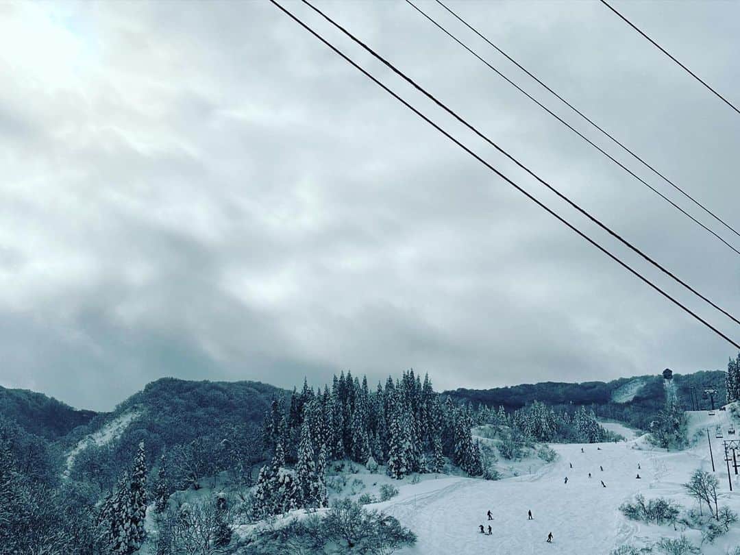上村知世さんのインスタグラム写真 - (上村知世Instagram)「上越国際スキー場🏂 毎シーズンお兄ちゃんと滑りに来てる気がするw フォレストゾーンの素晴らしさよ✨ そして、童話の世界のような景色！ きれいで大好き💕 #fm775 #ニイタビ775 #snow #snowboarding #winter #ハート狩人」12月31日 15時13分 - tomose0207