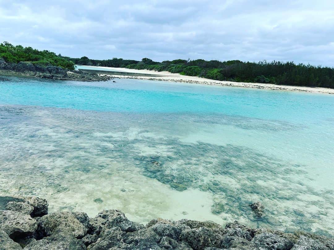 中村晃のインスタグラム