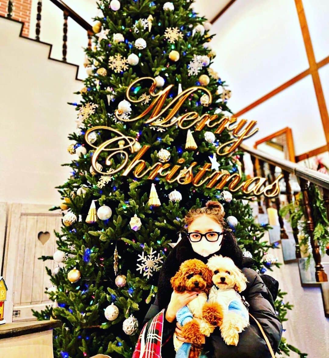 広田レオナのインスタグラム：「大晦日に Xmasの写真😂  今年もあっという間でしたね😅  去年の暮れから映画を撮り始めて 今年の6月にギュッと撮影したのですが…やはり体力が… 毎日死ぬんじゃないかのギリギリ状態😂😂😂 しかし弱音は吐けず… 編集も7月から始めたのですが…ここでコロナに感染😭😭😭 ワクチン3回打っていましたが味わった事のない苦しみ😂 そしてそれ以上にマズイのがコロナの後遺症😭😭😭 階段2階に上がっただけで血中酸素濃度83〜85の救急車レベル…肺ガン術後直後くらいに戻ってしまっている…コロナ後遺症恐ろしや〜😭  社長業、マネージャー業もほぼ寝たきりのまま電話だけでやってる状態…👴🏻 人前に出る時は痛み止めをMAX増し増し増し服用するので肝機能障害にもなるわ 足も相変わらず引き摺っていますが……最近は手で足を持たないと動かせないレベル😅 夜中の咳からの喘息の発作も治らない…😅 誤魔化して仕事するのも限界かな😂 このままでは映画を再開させる事もままならず……… 1週間、休んだところで治る気が全然せず…  なので 大変申し訳ないのですが… 治る事を信じ、療養生活に入らせていただきたいと思います🙇‍♂️  絶対に綺麗に歩けるようになって帰ってきますので待っていてもらえないでしょうか……  来年はウサギ🐰年❕ 年女でございます👴🏻 超回復してみせまするるる✨ わては強い！  #ワンコはかすがい #ゆる無添加生活はじめました #ブッラータとシャインマスカット✨我が家のブームでした✨ #映画はもちろん終活だってしたいねん #格好いい還暦の写真も撮りたいのぉ」