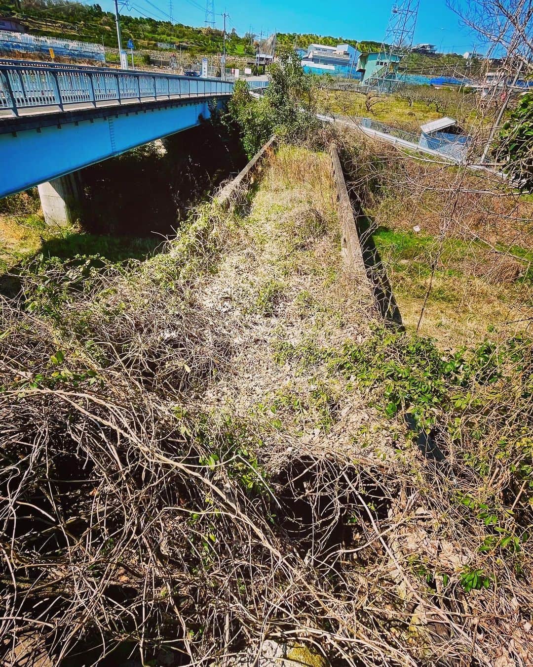 ゾゾゾさんのインスタグラム写真 - (ゾゾゾInstagram)「誰も渡らない和歌山県の橋。推定200年前の廃橋。その存在は逆オーパーツ的事象と言える。地元民によると今でも子供達が通っていると言うが…。#ゾゾゾ #逆オーパーツ #和歌山県 #廃橋」12月31日 16時09分 - zozozo_photos