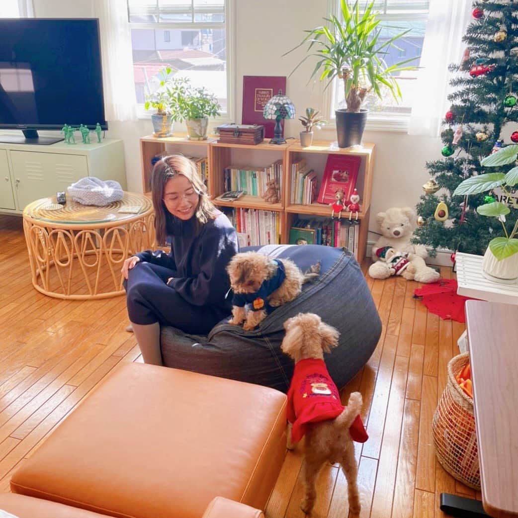 春瀬なつみのインスタグラム：「嘉山さんのお宅でメルシーとすずめの初対面🥰」