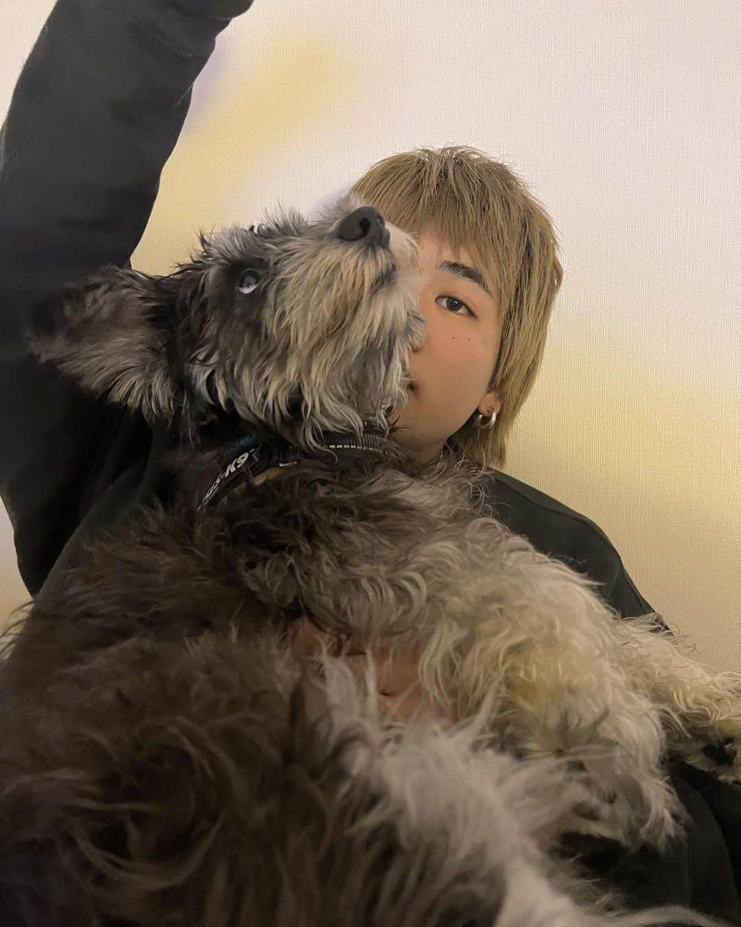 北村太樹のインスタグラム：「君と出会えたのも2022年。 なんだか何も変わってないようで、とても変化の1年だったなと。 今年もありがとうだよみんな☺︎  p.s.ペレのアカウント作るか迷うな。🤔」