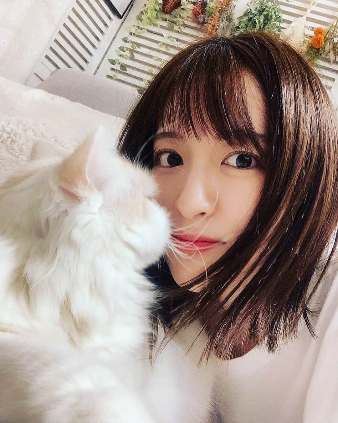 小松未可子のインスタグラム：「2022年お疲れ様でしたー！！ 大晦日満喫してますか〜？？  私はというと。 朝からケーキ屋さんに並び笑、 猫のトイレを洗い、 ジョイントマットを張り替え大掃除！ そして年越し蕎麦を頂きまして 味海苔をポリポリ食べながら ようやく寛いでいるところです。 まったく大晦日感ないな！！  ひとまず新年を迎える準備は万端🐰🐰！  皆はどんな年越しかな？ 今年の疲れをゆっくり癒やして、 間も無く訪れる2023年に備えましょ〜！  明日はお雑煮作るぞ〜( ˘ω˘)」