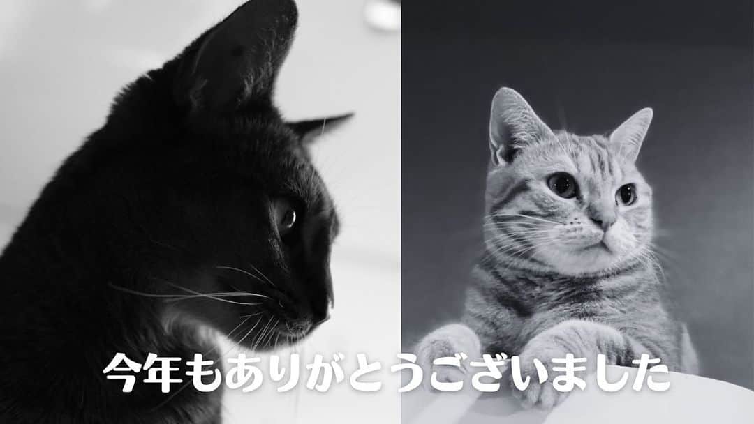 徳井義実のインスタグラム