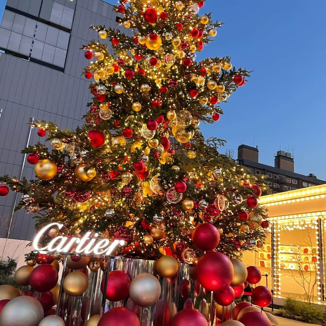 藤澤友千菜さんのインスタグラム写真 - (藤澤友千菜Instagram)「🎄 ＊ カルティエのクリスマスツリー 先日表参道行ったら無くなっていた🥺🎄🤍🤍  はい、気づけば久々の投稿になってしまいました😵‍💫  2022年 Instagramフォローして下さっている皆様♡ ありがとうございました！ 2023年もよろしくお願いします🧸🌸  わあぁぁぁ もうすぐ2023年だあぁあぁ！ わくわく😏❤️  #カルティエクリスマス #カルティエ #表参道 #カルティエツリー #2022年 #2023年もよろしくお願いします #ジルサンダー #藤澤友千菜 #エトレトウキョウ #ファッション」12月31日 23時05分 - yuchina1207