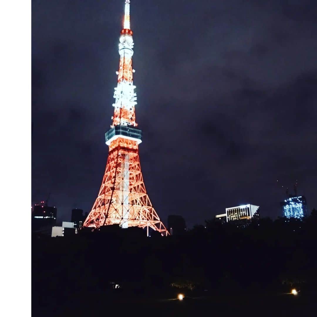 宮崎文子のインスタグラム：「2022→2023  変化の多い一年でした。  【仕事】 4月には、個人事業主になって、 経済番組の担当になって、 Youtubeも何本かつくって、 ネットメディアにも挑戦しました。 目標には足りなかったし、 今までやったことない失敗もたくさんして、ほんとに落ち込むこともあったけど、自分の目指すものが見えてきた一年でもありました。  【身体】 誕生日に新しい写真を撮りたいと思ったのをきっかけに、通っているジムの受けるレッスンを変えてみました。 コロナにもかかって、そこそこ体力がすぐなくなることに年齢を感じたり… 人間ドックも久々に受けました。結果びっくり、手術したりもしたのでみなさん、定期的に受けてください笑 少しずつできるトレーニングメニューが増えてきて、苦手が減ってきました。 なりたい身体にちょっとずつ、もう少し頑張りたいです。  プッシュアップをひざつきなしで。 クランチをもっと正確に。 背筋を引き締める！  という、目標を立てつつ。  世界では紛争が起こっているし、 経済不安だって続く世の中でも、 少しずつ、街に人が増えてきて、 笑顔が増えてきて、 時にはW杯で盛り上がったり、、 そんな“日常”をみられる時間に、 愛しさを感じた一年と、一緒に過ごしたひとたちに感謝をこめて。。  あ、、目標を、もうひとつ。 来年はなくしものを減らしたいで… 目下、先日行ったアメリカのKENZOで買った結が行方不明のため、見つけるのが年始の目標です。  アップしそこねてた写真の表情で一年の振り返りです。  来年は厄年なのでなにもないことを祈りつつ年を越したいと思います。  来年も皆さん良いお年をお迎えください✨ いい一年になりますように！」