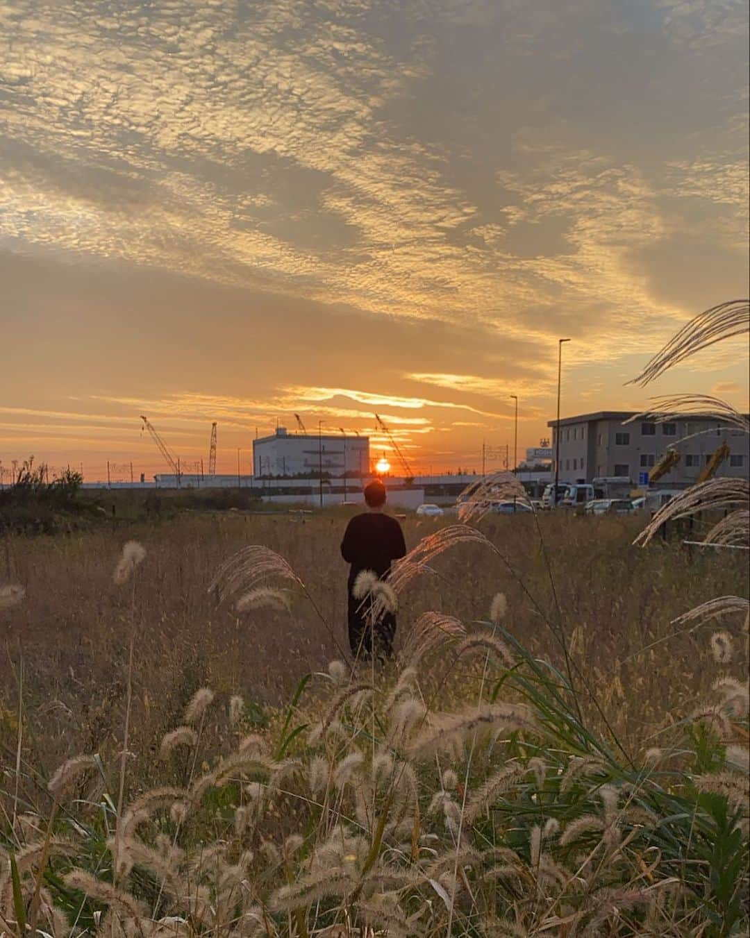 生野優子さんのインスタグラム写真 - (生野優子Instagram)「しごと中2022(あんじゅ過多)」12月31日 23時31分 - yukoshono