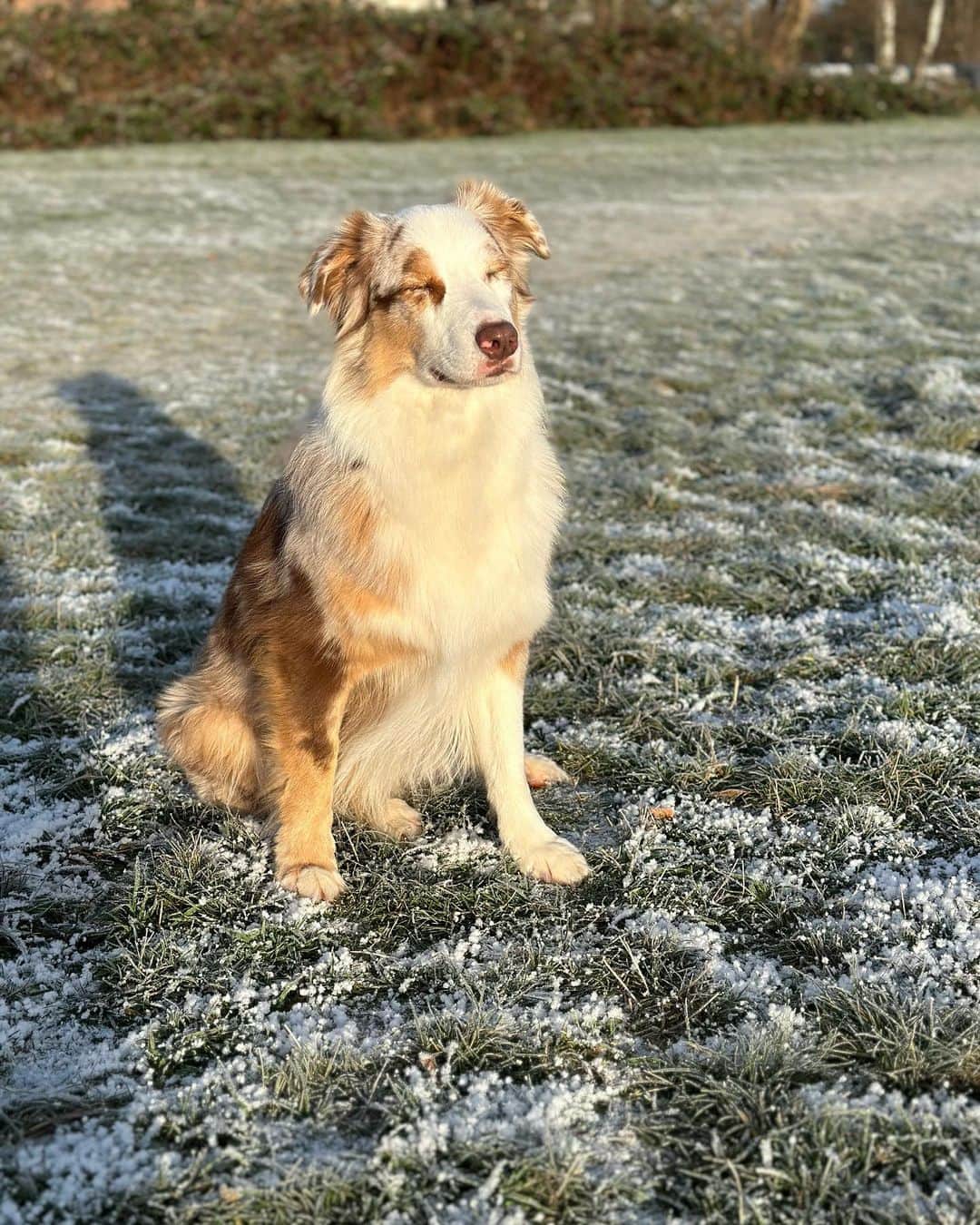 ドミニク・ハインツさんのインスタグラム写真 (ドミニク・ハインツInstagram)「Ich bin wieder fit und